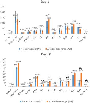 Conjoint analysis of transcriptome and metabolome profiles of normal captivity and arch soil free-range in Meishan pigs